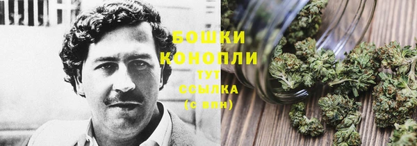 jwh Новозыбков